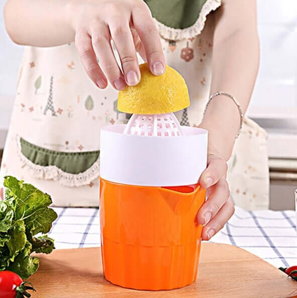 Citrus Juicer - StylishShop