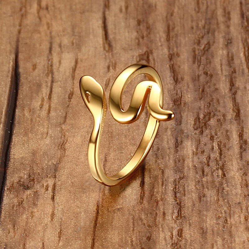 Stainless steel snake ring - StylishShop